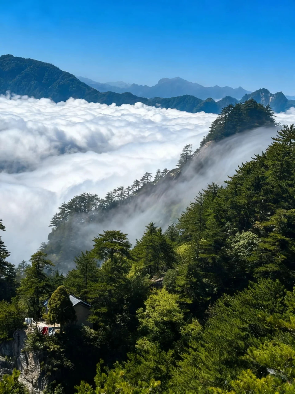 高山云海体验