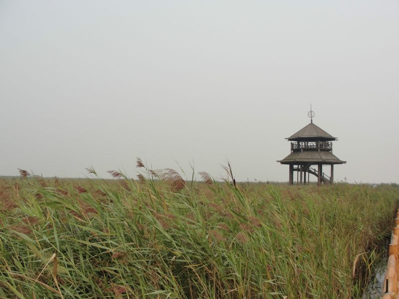 东营黄河口生态旅游区